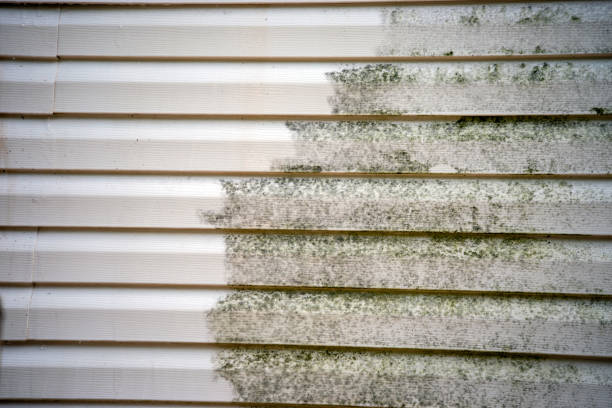 How To Choose The Right Materials for Your Siding Installation in 'Sun Valley, NV